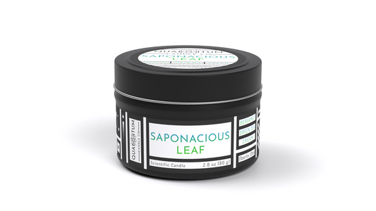 Saponacious Leaf Candle